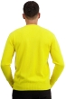 Cashmere kaschmir pullover herren hippolyte 4f jaune citric xl