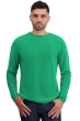 Cashmere kaschmir pullover herren rundhals taima new green xl