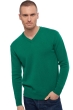 Cashmere kaschmir pullover herren v ausschnitt hippolyte 4f englisch grun 3xl