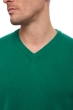 Cashmere kaschmir pullover herren v ausschnitt hippolyte 4f englisch grun l