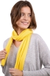Cashmere accessoires neu ozone daffodil 160 x 30 cm