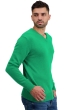 Cashmere kaschmir pullover herren dicke hippolyte 4f new green l
