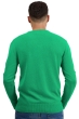 Cashmere kaschmir pullover herren die zeitlosen hippolyte 4f new green xl