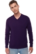 Cashmere kaschmir pullover herren die zeitlosen hippolyte deep purple 4xl