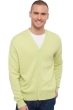 Cashmere kaschmir pullover herren leon light green m