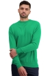 Cashmere kaschmir pullover herren nestor new green l