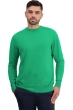 Cashmere kaschmir pullover herren rundhals nestor new green 2xl