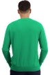 Cashmere kaschmir pullover herren rundhals nestor new green 3xl