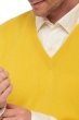 Cashmere kaschmir pullover herren v ausschnitt balthazar sonnenblume 3xl