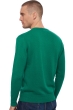 Cashmere kaschmir pullover herren v ausschnitt hippolyte 4f englisch grun s