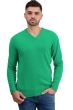 Cashmere kaschmir pullover herren v ausschnitt hippolyte 4f new green l