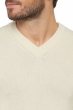 Cashmere kaschmir pullover herren v ausschnitt hippolyte 4f premium tenzin natural m